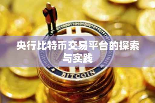 央行比特币交易平台的探索与实践