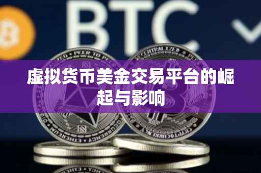 虚拟货币美金交易平台的崛起与影响