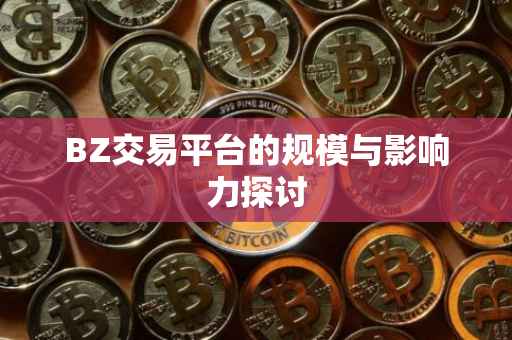 BZ交易平台的规模与影响力探讨