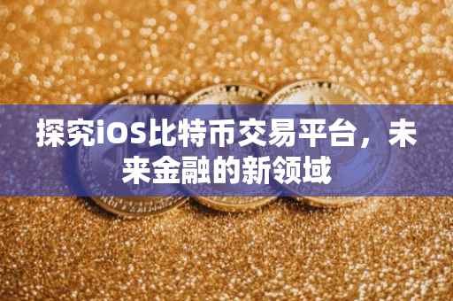 探究iOS比特币交易平台，未来金融的新领域
