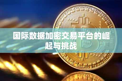 国际数据加密交易平台的崛起与挑战