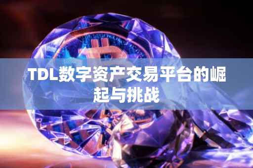 TDL数字资产交易平台的崛起与挑战