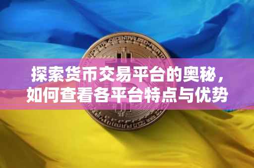 探索货币交易平台的奥秘，如何查看各平台特点与优势