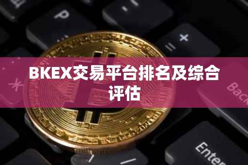 BKEX交易平台排名及综合评估