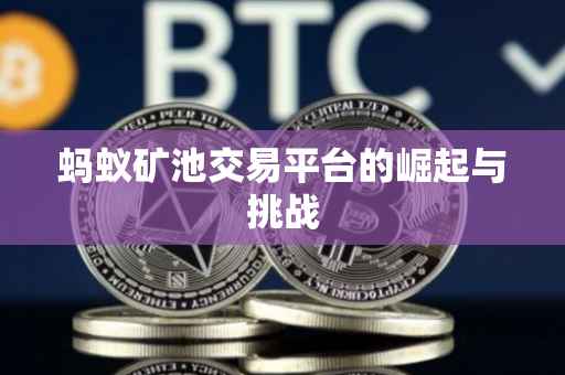 蚂蚁矿池交易平台的崛起与挑战