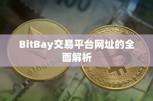 BitBay交易平台网址的全面解析