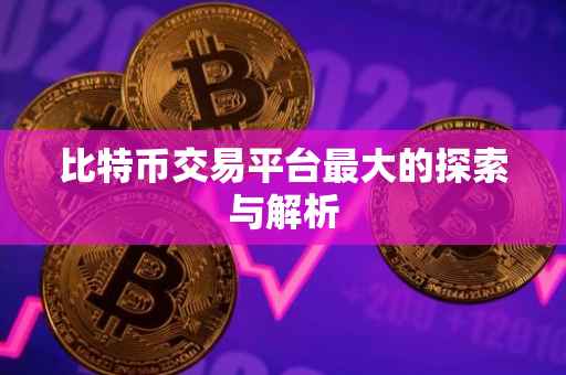 比特币交易平台最大的探索与解析
