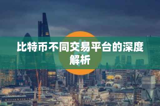 比特币不同交易平台的深度解析