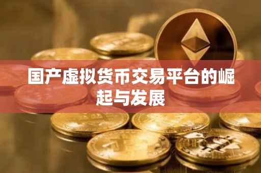 国产虚拟货币交易平台的崛起与发展