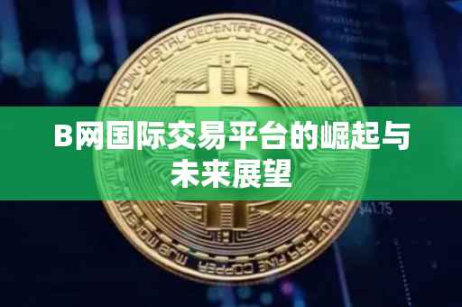 B网国际交易平台的崛起与未来展望