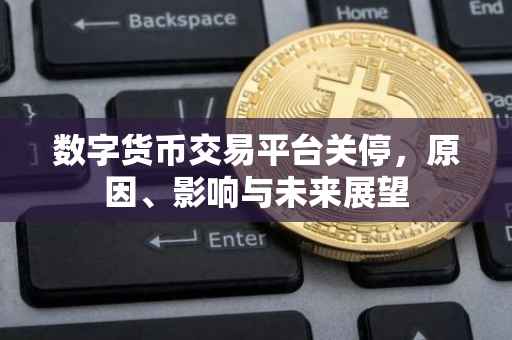数字货币交易平台关停，原因、影响与未来展望