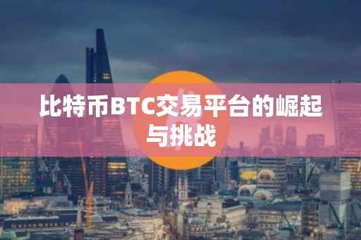 比特币BTC交易平台的崛起与挑战