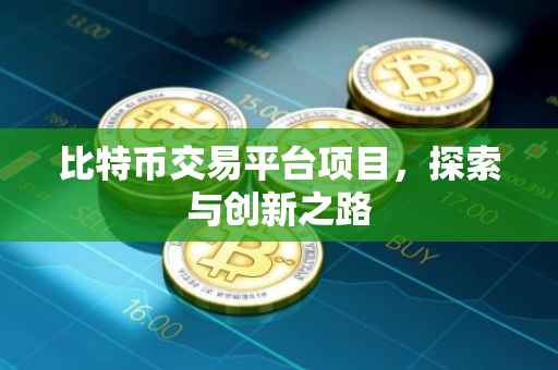 比特币交易平台项目，探索与创新之路