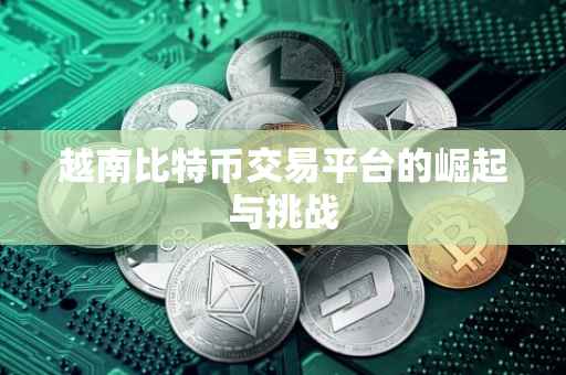 越南比特币交易平台的崛起与挑战