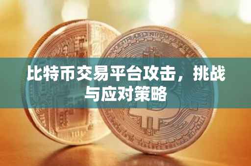 比特币交易平台攻击，挑战与应对策略