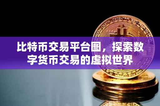 比特币交易平台图，探索数字货币交易的虚拟世界