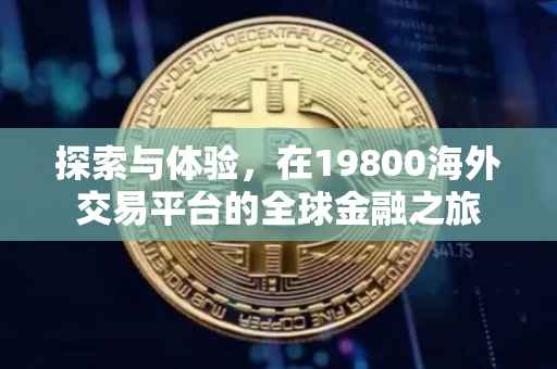 探索与体验，在19800海外交易平台的全球金融之旅