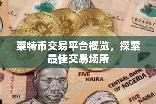 莱特币交易平台概览，探索最佳交易场所