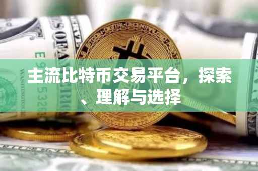主流比特币交易平台，探索、理解与选择