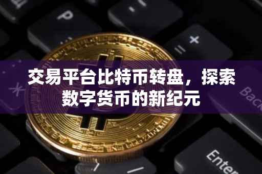 交易平台比特币转盘，探索数字货币的新纪元