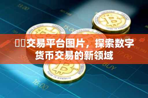 雲幣交易平台图片，探索数字货币交易的新领域
