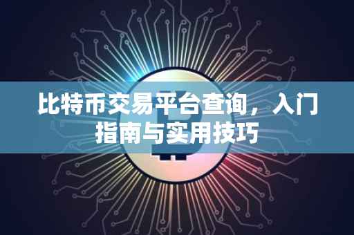 比特币交易平台查询，入门指南与实用技巧