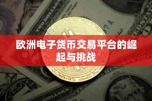 欧洲电子货币交易平台的崛起与挑战