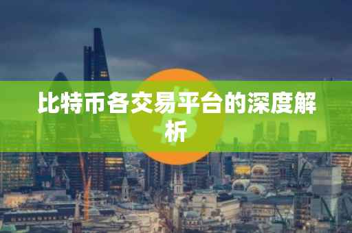 比特币各交易平台的深度解析