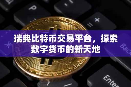 瑞典比特币交易平台，探索数字货币的新天地