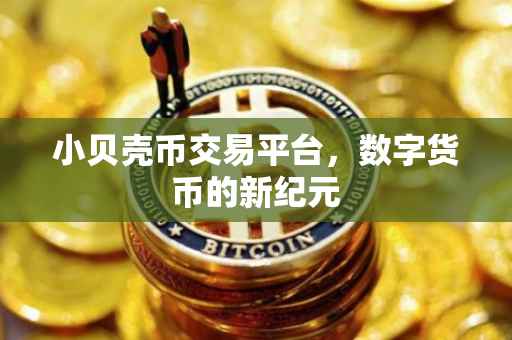 小贝壳币交易平台，数字货币的新纪元