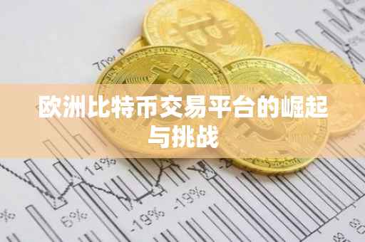 欧洲比特币交易平台的崛起与挑战