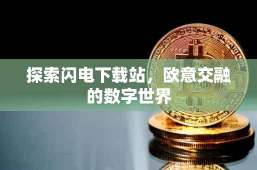探索闪电下载站，欧意交融的数字世界