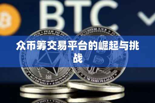 众币筹交易平台的崛起与挑战
