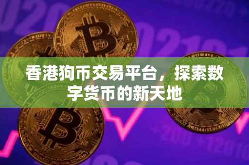 香港狗币交易平台，探索数字货币的新天地