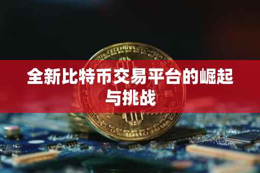 全新比特币交易平台的崛起与挑战