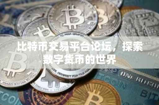比特币交易平台论坛，探索数字货币的世界