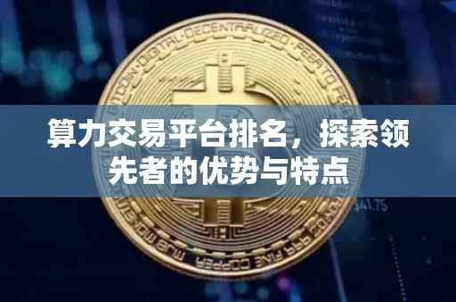 算力交易平台排名，探索领先者的优势与特点