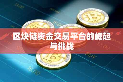 区块链资金交易平台的崛起与挑战