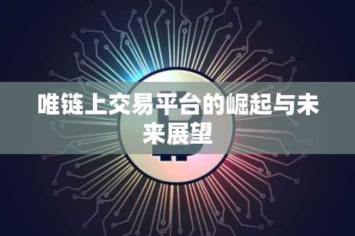 唯链上交易平台的崛起与未来展望