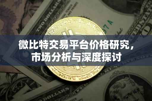 微比特交易平台价格研究，市场分析与深度探讨