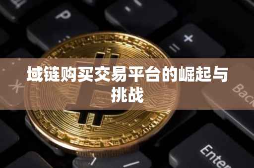 域链购买交易平台的崛起与挑战