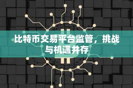 比特币交易平台监管，挑战与机遇并存