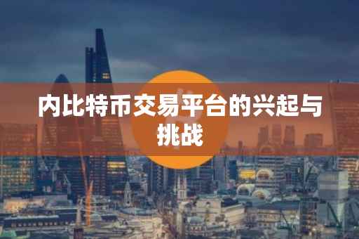 内比特币交易平台的兴起与挑战
