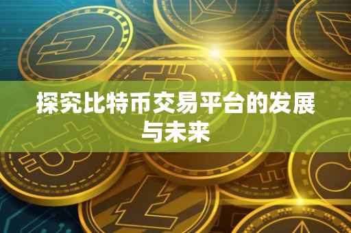 探究比特币交易平台的发展与未来