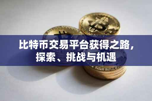 比特币交易平台获得之路，探索、挑战与机遇