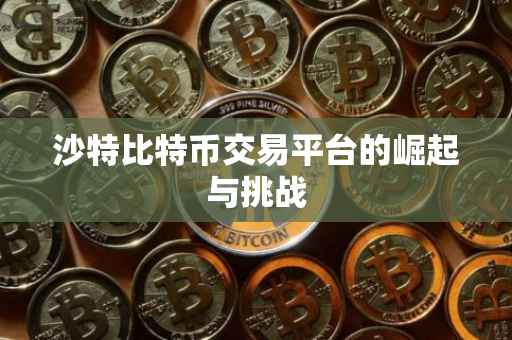 沙特比特币交易平台的崛起与挑战