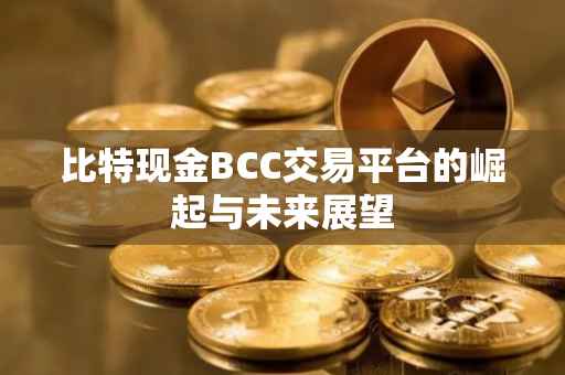比特现金BCC交易平台的崛起与未来展望