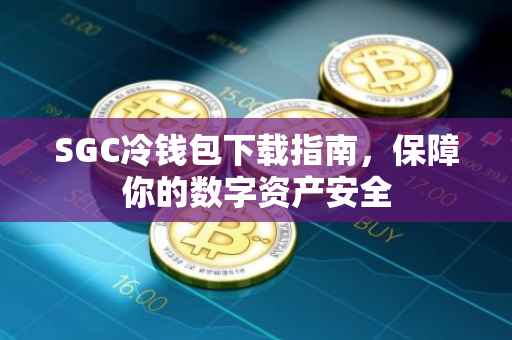 SGC冷钱包下载指南，保障你的数字资产安全