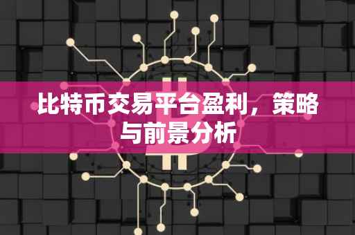 比特币交易平台盈利，策略与前景分析