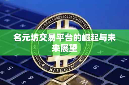 名元坊交易平台的崛起与未来展望